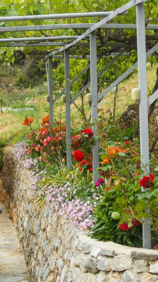 Villa Megdani B Ohrid Bagian luar foto